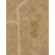 Nations At War: Desert Heat 2nd Edition