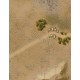 Nations At War: Desert Heat 2nd Edition